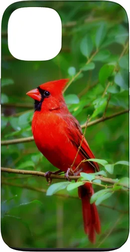 Vista 7 de Hermosa cardenal pájaro rojo escena de la naturaleza caso para iPhone 17