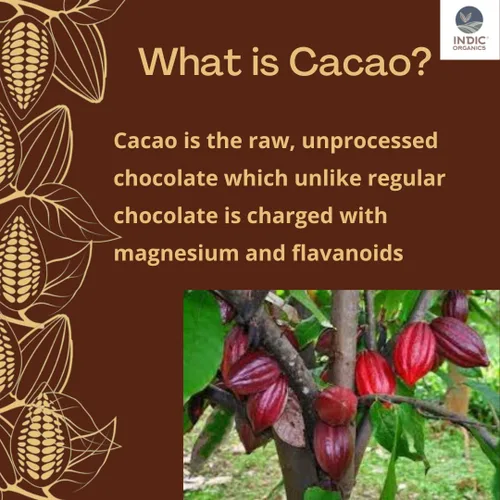 Vista 7 de Indic Organics Cacao en polvo artesanal No alcalinizado, no holandés, sin azúcar, tostado lento y mínimamente procesado De la región de Ghats