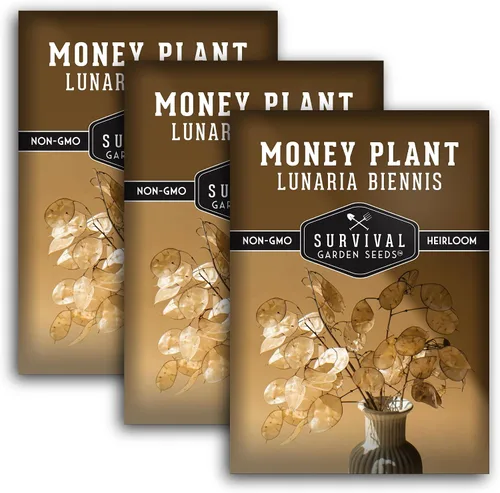 Vista 11 de Survival Garden Seeds Semillas de plantas de dinero para plantar, 1 paquete con instrucciones para cultivar Lunaria Annua en el jardín de tu casa