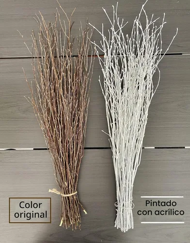 Vista 7 de ECOVENIK 25 piezas - Ramas - 28.7 in, ramitas de abedul natural, paquete de 20-25 tallos, largo para jarrones de suelo, (blanco y gris)