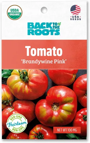 Vista 16 de Back to The Roots Paquete de semillas 100% orgánicas - Tomate 'Big Rainbow' 100mg Paquete de Semillas de 2ct - Tomate 'San Marzano