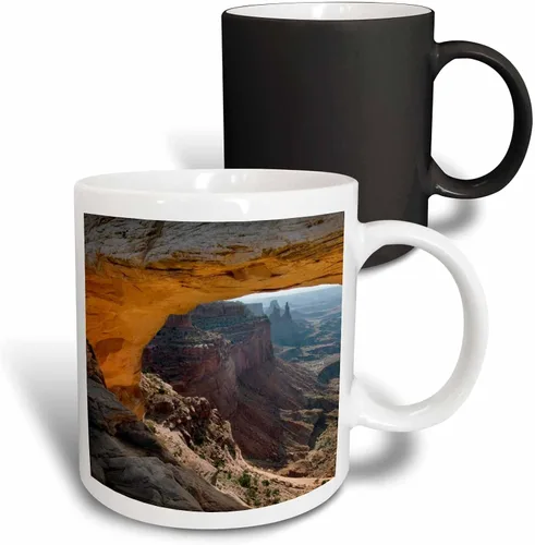 Vista 10 de 3dRose (mug_94870_1) Utah, Capitol Reef NP. Sleeping atigrado cat - US45 RER0114 - Ric Ergenbright - Taza de cerámica, 11 onzas Blanco