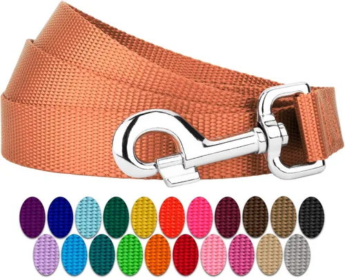 Vista 16 de Country Brook Petz - Correa para perro de nailon duradera de estilo tradicional de 1 pulgada con broche fácil de usar para razas pequeñas, medianas
