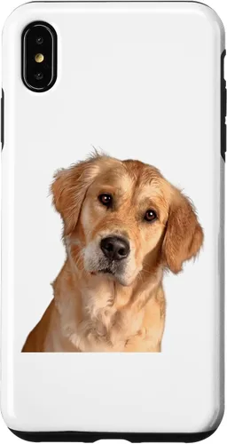 Vista 11 de American Golden Retriever Dog Sweet and Quizzical Case for iPhone 17