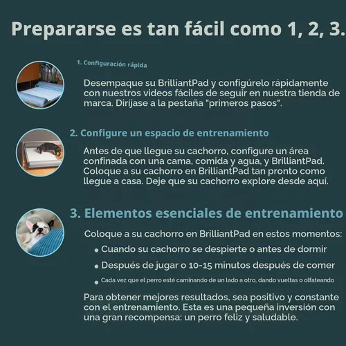 Vista 9 de BrilliantPad Orinal inteligente autolimpiante para perros