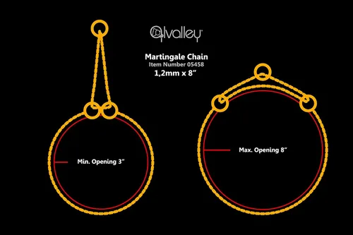 Vista 3 de Alvalley Collar Martingale para perros, collar de cadena para perro, hecho de latón, seguro, fácil de manejar, adecuado para mostrar, entrenar