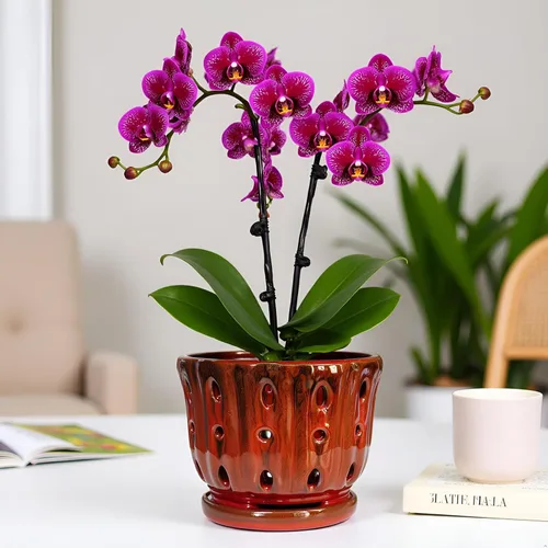 Vista 2 de Maceta de Cerámica para Orquídeas con Platillo Adjunto y Agujero de Drenaje de 6 Pulgadas (Rojo)