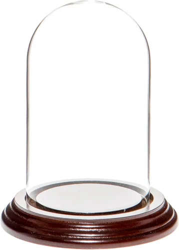Vista 7 de Plymor Cúpula de exhibición de cristal de 3 "x 5" (base de madera MDF negra)