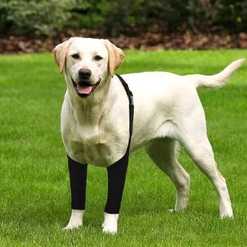 Vista 5 de Traje de recuperación para perros para piernas delanteras, mangas de recuperación para perros después de una cirugía con banda elástica, coderas