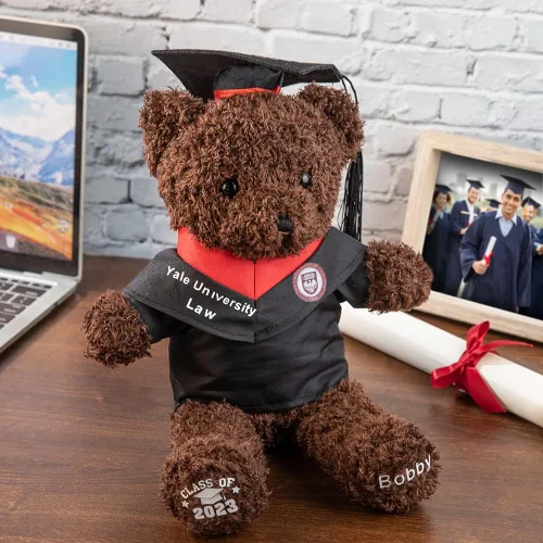 Vista 3 de Oso de peluche de graduación con nombre personalizado con insignia escolar, oso de peluche con tabla de mortero, regalos de graduación