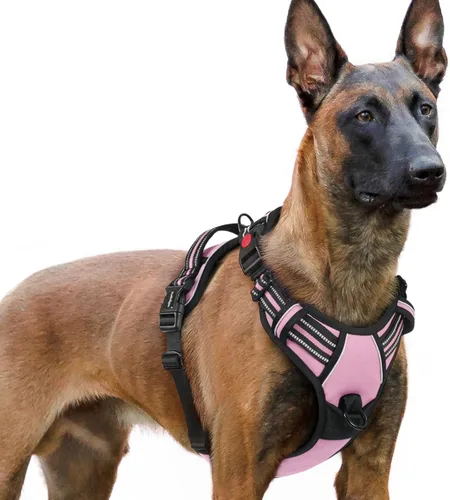Vista 30 de Rabbitgoo - Arnés para perro de tamaño pequeño, actualizado, fácil de poner y quitar con 3 hebillas Sin tirones, sin estrangulamiento, caminar