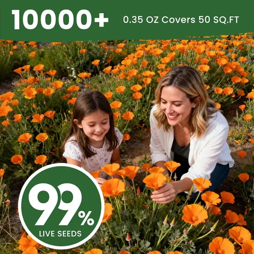 Vista 5 de Semillas de amapola naranja de California para plantar, paquete a granel de 0.35 onzas, más de 10,000 semillas nativas, flor del estado de California