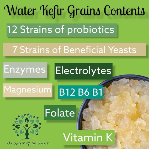Vista 6 de Polvo de bebida probiótica fermentada de granos de kéfir de agua deshidratada para una salud intestinal más fuerte El iniciador de reliquia ofrece