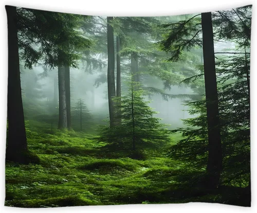 Vista 13 de Tapiz para estantería de gato, biblioteca mágica de fantasía, plantas florales bohemias, hippie para colgar en la pared, decoración artística