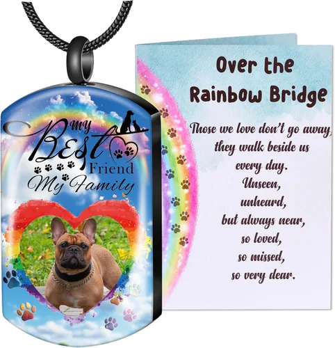 Vista 10 de Fanery Sue Collar personalizado para cenizas de mascotas para perros y gatos, foto y texto personalizados, regalo de condolencia, regalo