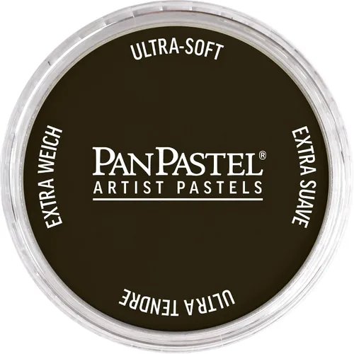 Vista 51 de PanPastel Pastel ultra suave para artista, sombra de Siena quemada