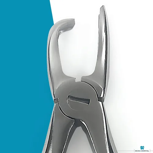 Vista 7 de Raspador de dientes para eliminar cálculos, pinza tártara, veterinario dental perro PET canino A+, instrumento de calidad, 4.5 pulgadas