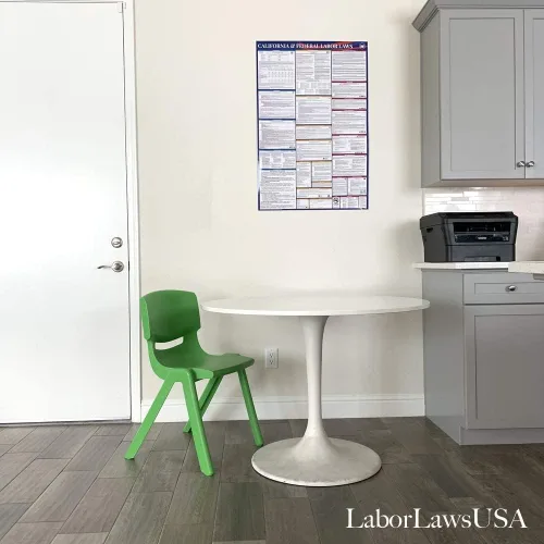 Vista 2 de Póster completo de ley laboral todo en uno del estado y federal de California 2023 – Las actualizaciones más recientes de 2023 incluyen junio EEOC