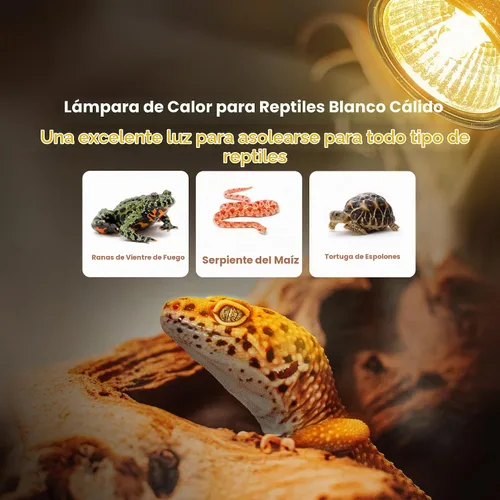 Vista 2 de Briignite - Bombilla de calor para reptiles, 50 W, UVA UVB, bombillas regulables para reptiles Bombilla cálida 50w