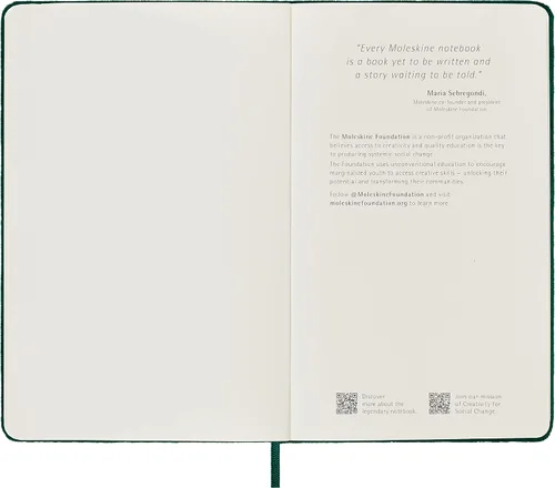 Vista 9 de Moleskine Cuaderno de terciopelo de edición limitada, grande, a rayas, caja verde (5 x 8.25)