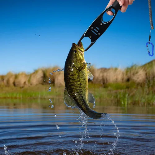 Vista 6 de PATIKIL Clip de labios de pescado con escala, 40 libras (39.7 lbs) de aleación de aluminio, clip de labios de pesca profesional, herramienta de Azul