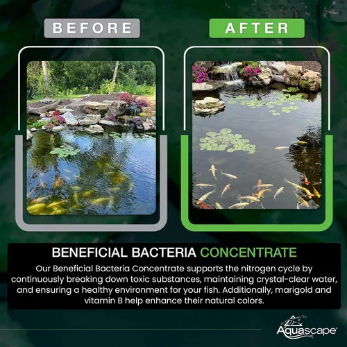 Vista 5 de Aquascape - Bacterias secas y beneficiosas para las características del estanque y del agua., Blanco