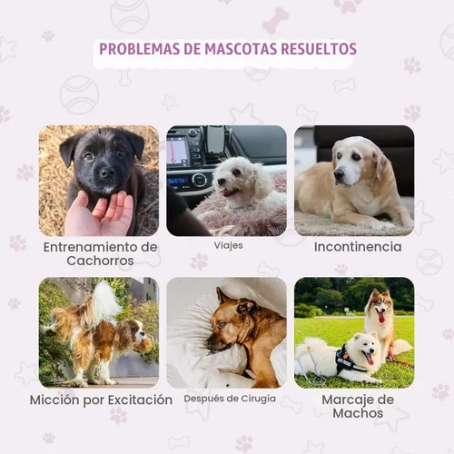 Vista 6 de COCOYO Pañales desechables para perra de tamaño XS, 84 unidades, súper absorbentes, transpirables, con indicador de humedad