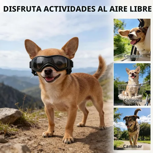 Vista 6 de Gafas para perros de razas pequeñas, lentes de sol para perros pequeños con protección UV, gafas para mascotas al aire libre, para equitación Negro