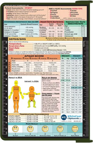 Vista 2 de WhiteCoat Clipboard® - Edición EMT Verde Ejército Verde militar
