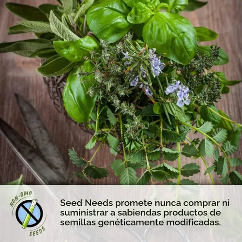 Vista 6 de Seed Needs, Colección de Paquetes de Semillas de Diente de León (3 Variedades de Semillas para Plantar) No-GMO y Sin Tratamiento - Diente de León