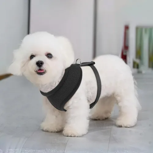 Vista 3 de MoNiBloom Arnés para perro de tamaño pequeño, chaleco acolchado suave para cachorros para caminar, correr, entrenar - negro, XS