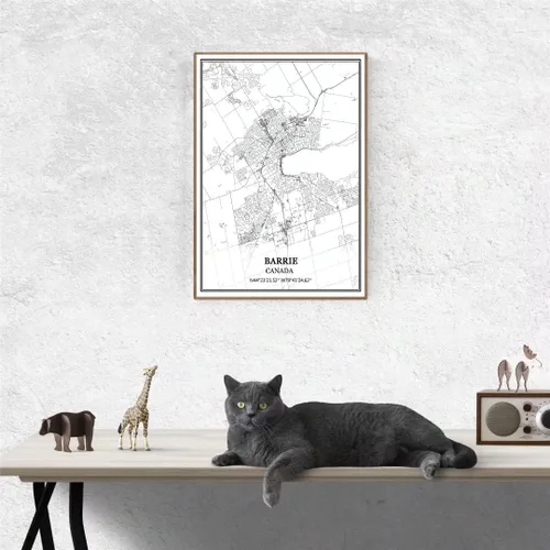 Vista 2 de TANOKCRS Barrie - Lienzo decorativo para pared, diseño de mapa de Canadá, sin marco, moderno, en blanco y negro, recuerdo, decoración del hogar, 12
