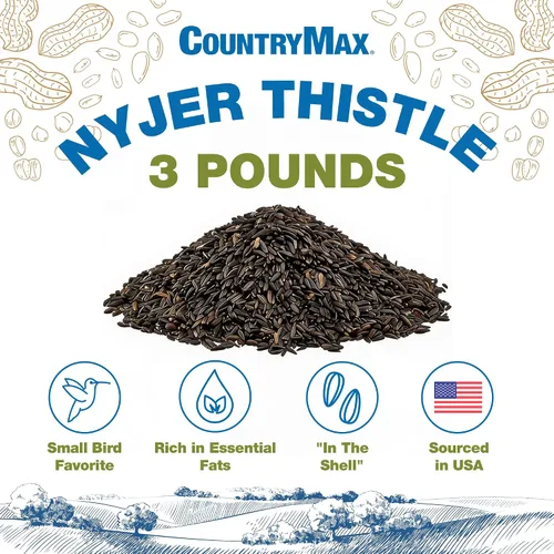 Vista 2 de Nyjer - Semilla de cardo para pinzones de 3 libras, semilla de ave Nyjer prémium para comederos exteriores, bolsa pequeña de alimento para pájaros