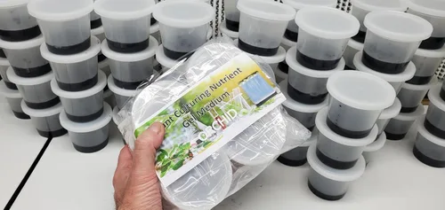 Vista 5 de Semillas de orquídeas Sembrando Medios de Plantas Medianas de Cultivo de Gel Tazas Pre-Esterilizadas Listo para Usar Producto (1)