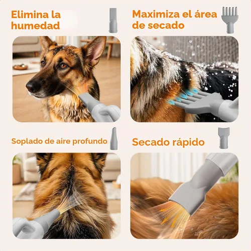 Vista 6 de Pecute Secador de perros de alta velocidad, velocidad y temperatura