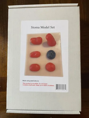 Vista 9 de Juego de modelos de estoma de silicona para simulación, práctica de cuidado de ostomía, demostración, 6 estomas