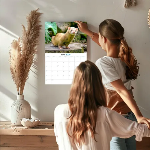 Vista 485 de Calendario de grises africanos 2025 2026 – Planificador mensual de pared de aves africanas – 12 x 18 pulgadas (abierto), calendario de pared