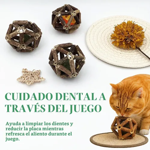 Vista 4 de Juego de juguetes masticables naturales de hierba gatera de 3 piezas para gatos y gatitos de interior, juguete de limpieza de dientes
