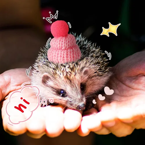 Vista 5 de Kajaia Sombrero de Navidad de serpiente para mascotas, sombrero de hámster con correa elástica ajustable, bola de serpiente, hámster, pitón