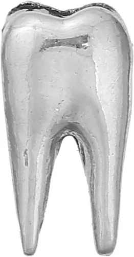 Vista 19 de Sexy Sparkles Medical Anatomical 3D Charm Pendant – Unisex Accessory for Necklaces, Bracelets, and Keychains