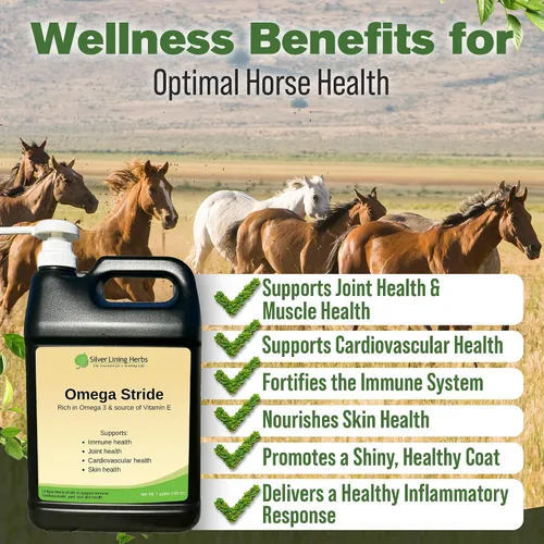 Vista 3 de Silver Lining Herbs Aceite de semilla de cáñamo Omega Stride para caballos
