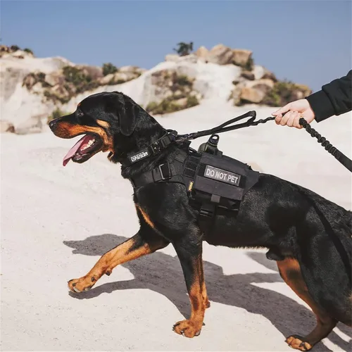 Vista 6 de EXCELLENT ELITE SPANKER Arnés táctico militar para perro, ajustable, sin tirones, para servicio de patrulla militar, chaleco de entrenamiento