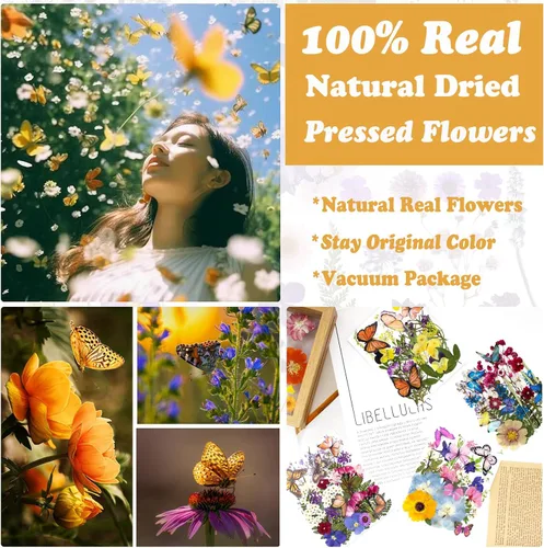 Vista 2 de 99 piezas de flores prensadas y mariposas para moldes de resina, hojas de flores naturales assortidas para pegatinas de arte DIY, manualidades