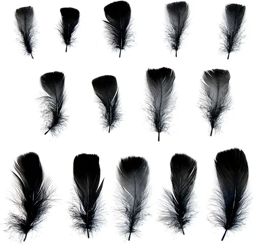 Vista 2 de 300 piezas de plumas negras de 2-3 pulgadas, plumas a granel para manualidades, accesorios para atrapasueños, proyectos de arte, manualidades DIY