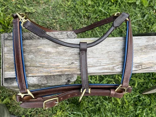 Vista 8 de Leaders - Cabestro de cuero de 3/4 pulgadas para caballos con placa de identificación grabada personalizada, halter de cuero con placa de nombre