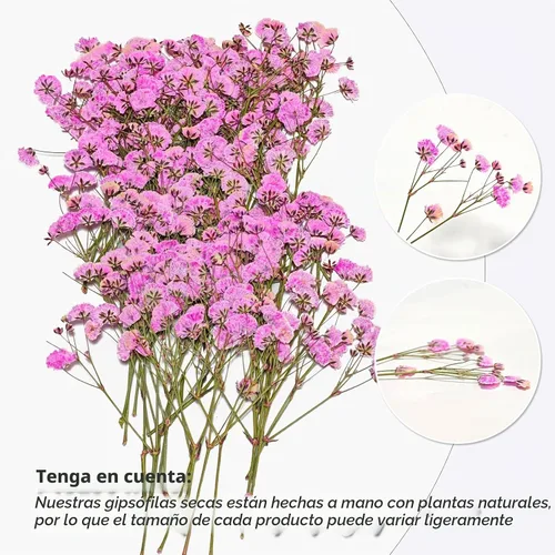 Vista 3 de 50 piezas de flores secas prensadas para el aliento del bebé Mini Rosa