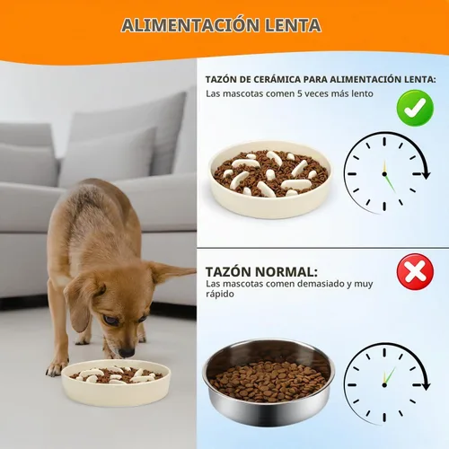 Vista 5 de Cuenco de cerámica para perros de alimentación lenta, 2 tazas de plato de Laberinto - Blanco