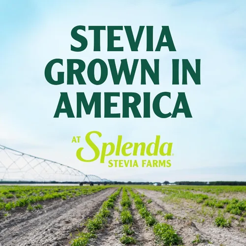 Vista 6 de SPLENDA Stevia Liquid - Gotas edulcorantes sin calorías, botella de 3.38 onzas líquidas