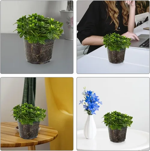 Vista 9 de HANABASS 6 macetas transparentes de 3 pulgadas con agujeros de drenaje, macetas de plástico para guardería, flores, suculentas, orquídeas