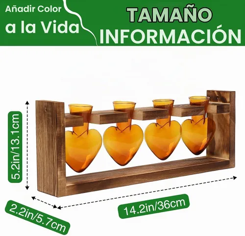 Vista 4 de Estaciones de propagación de plantas, kit de terrario de plantas de corazón, regalo para mujeres, amantes de las plantas, jarrones de vidrio Ámbar